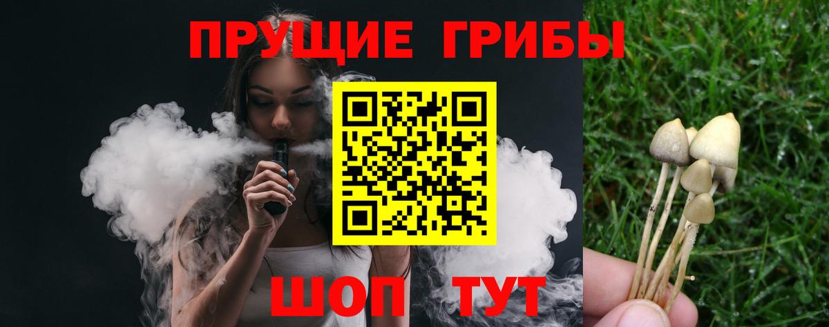 Псилоцибиновые грибы Cubensis Дагестанские Огни