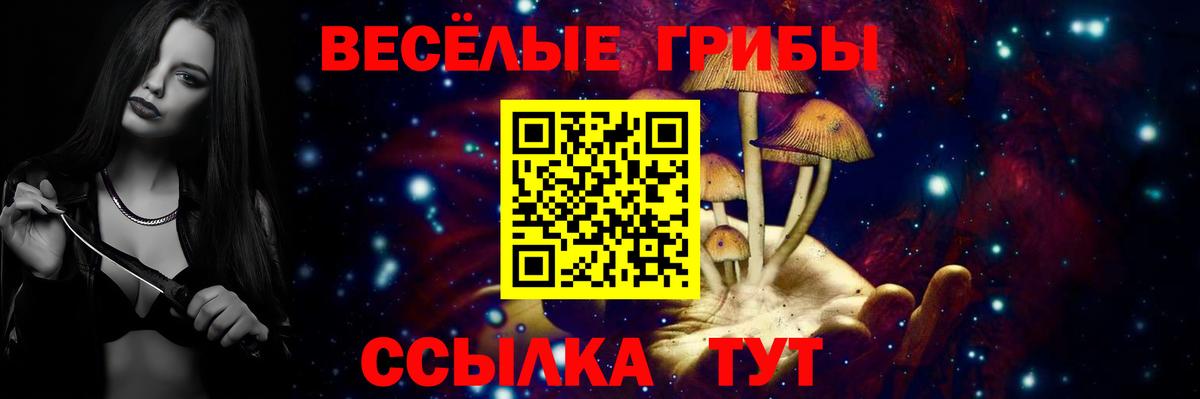 Дагестанские Огни  Псилоцибиновые грибы Magic Shrooms  Вход с VPN 